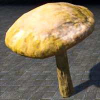 mushroom_sturdy_milkcap