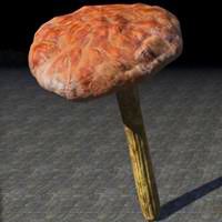 mushroom_young_netch_shield
