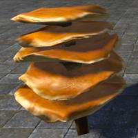 mushrooms_buttercake_cluster