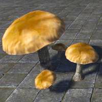 mushrooms_volcanic_cluster