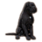 pet black morthal mastiff eso wiki guide