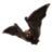 pet brown steeple bat eso wiki guide