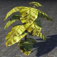 plant_jungle_leaf