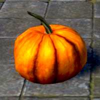 pumpkin_display