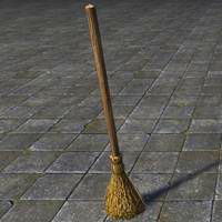 rough_broom_practical