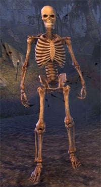 skeleton eso wiki guide min