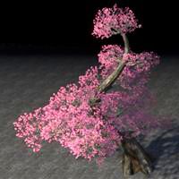 tree_tiered_pink_cherry