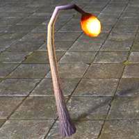 vvardenfell_glowstalk_sprout